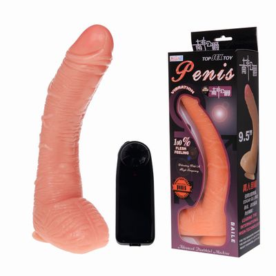 ������������� ��������� �� �������� PENIS 9.5