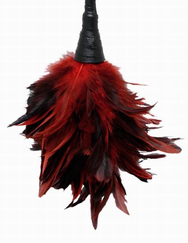  -  FRISKY FEATHER DUSTER