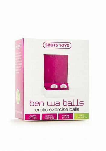 ������ Ben Wa Balls Silver SH-SHT105SIL
