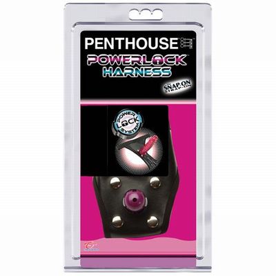 ������ ������� PENTHOUSE ��� �������� �������