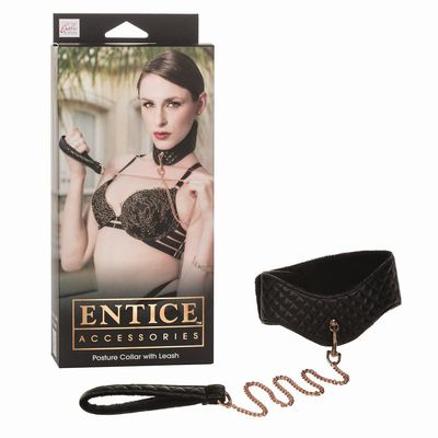    Entice Posture Collar with Leash